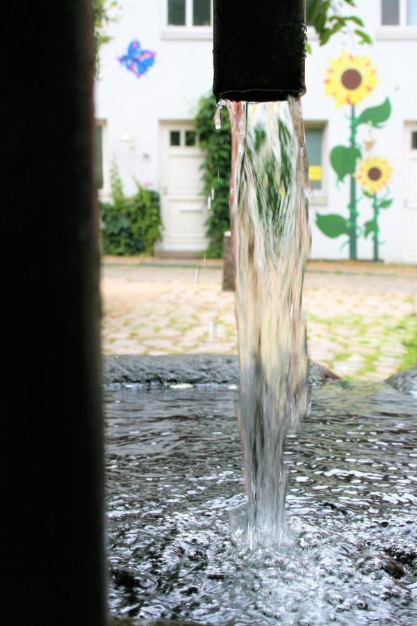 Zentrale Ferienwohnung Anker Im Sonnenblumenhaus Φλένσμπουργκ Εξωτερικό φωτογραφία